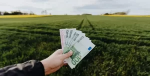 LKU kredito unijų grupė: žemės įsigijimui – kreditas iki 25 metų ir lankstus požiūris
