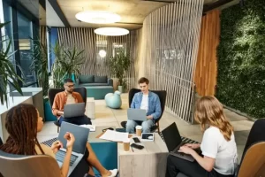 Nuo pirmo žingsnio iki augimo: startuolio kelias su paskolos parama